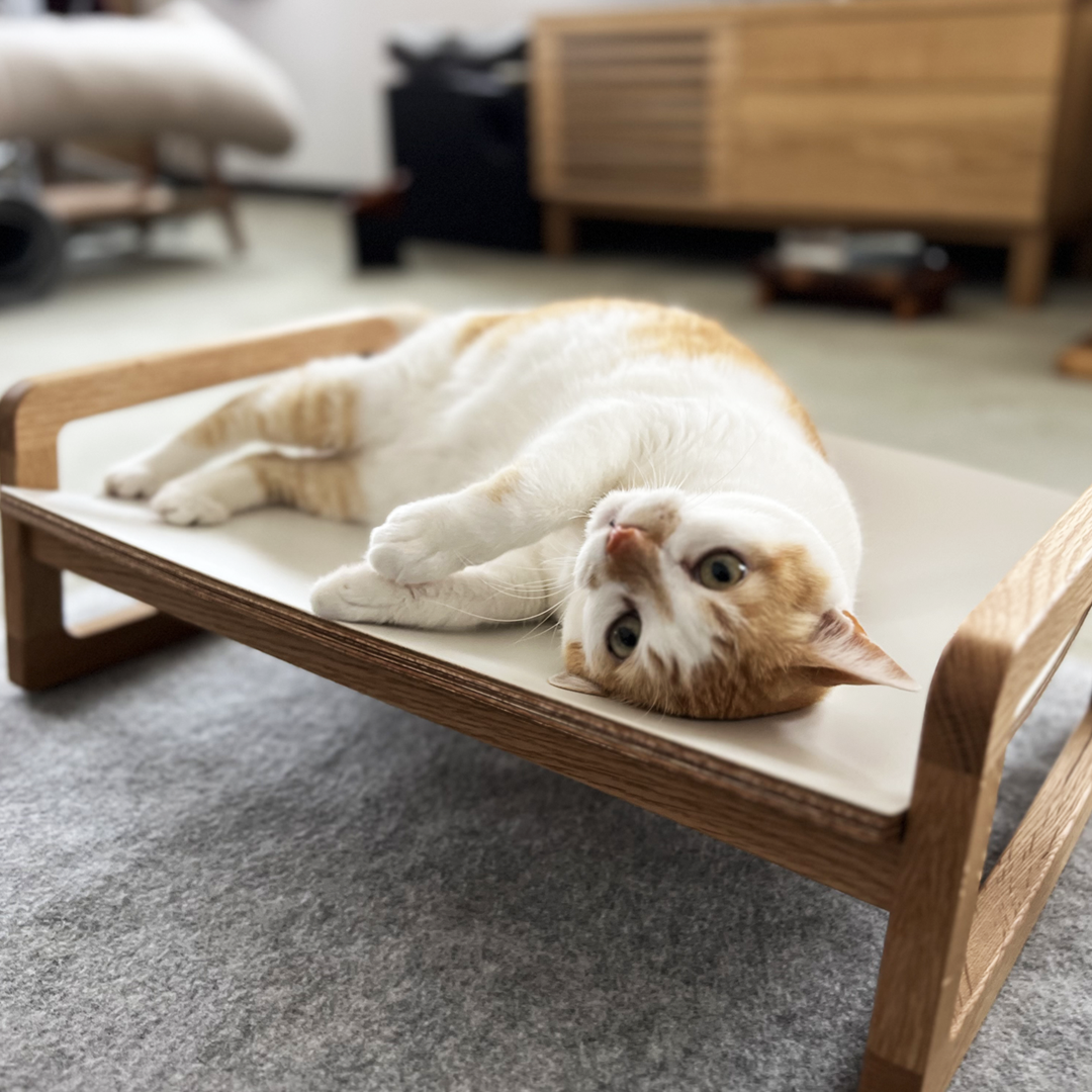 Bed_insta001